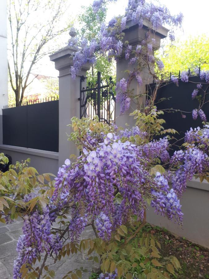 Villa Fiorentino Padova Ngoại thất bức ảnh