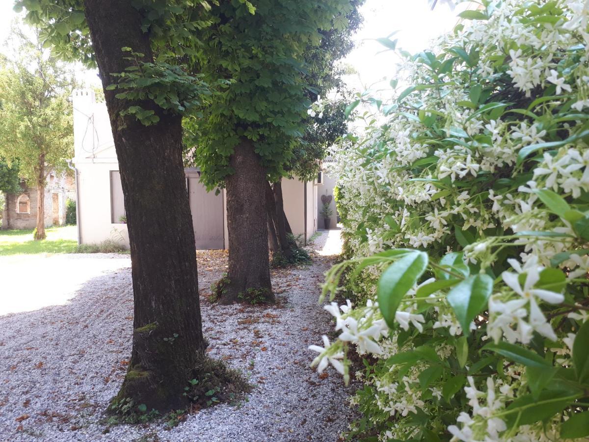 Villa Fiorentino Padova Ngoại thất bức ảnh